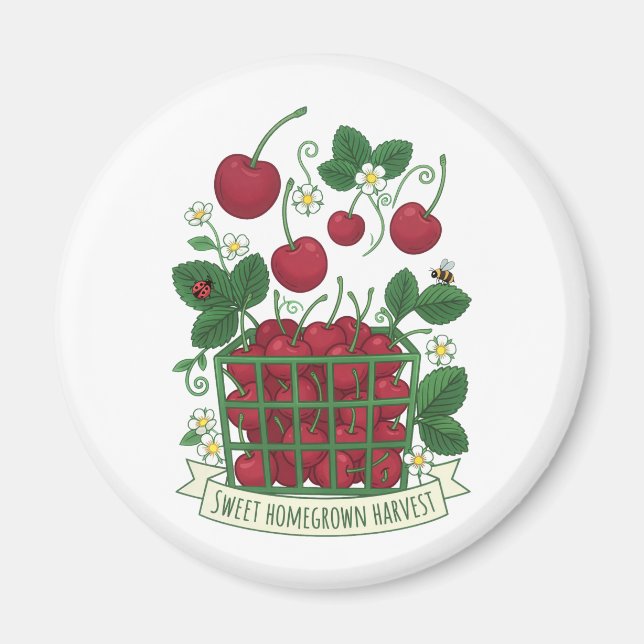 Cherry Fruit Food Prunus Sweet Basket  Magnet (Front)