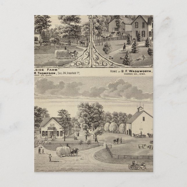 Cherry Grove,  Hillside Farm Postcard (Front)