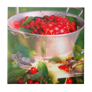 Cherry harvest,Cottage garden Rosalinde Tile