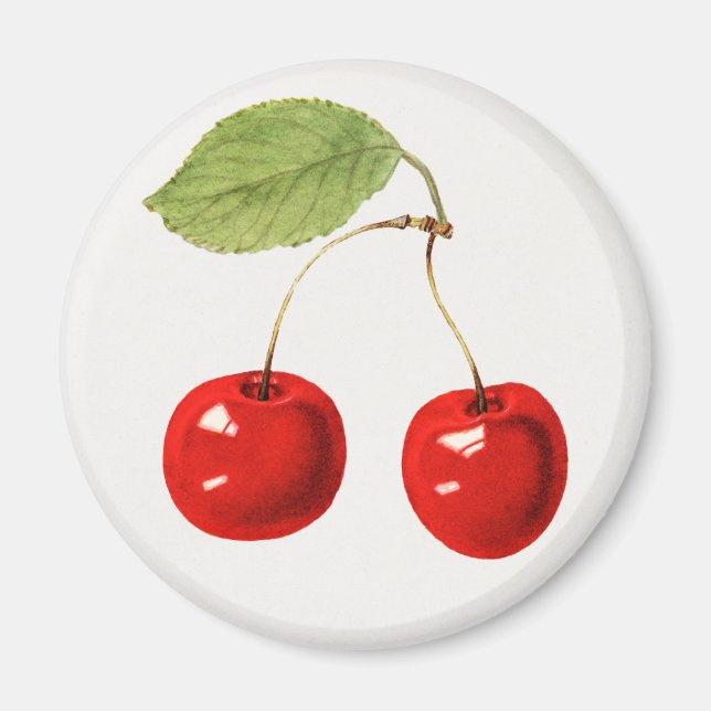 Cherry Magnet (Front)