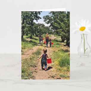 Cherry Picking Time Greeting Card