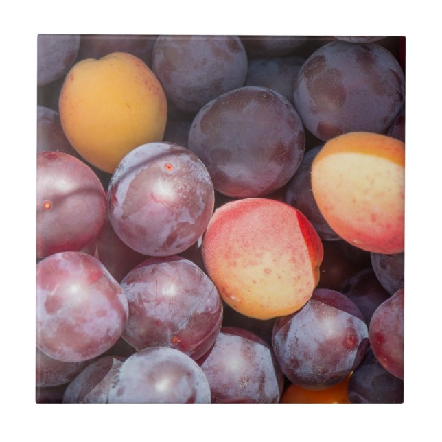 Cherry plum background tile (Front)