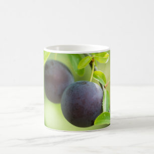Cherry plum on branch coffee mug