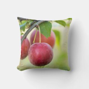 Cherry plum on branch cushion