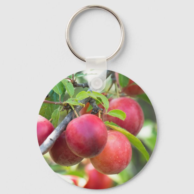 Cherry plum on branch key ring (Front)
