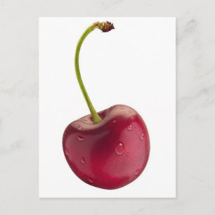 cherry postcard
