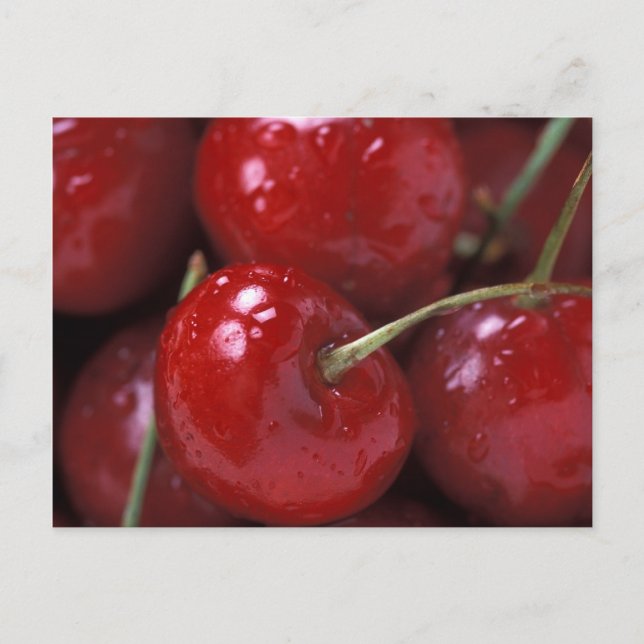Cherry Postcard (Front)