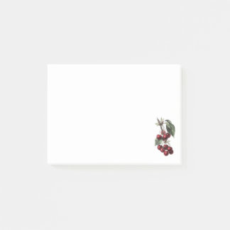 CHERRY RETRO POST-IT NOTES