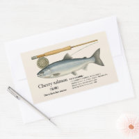 Cherry Salmon (Oncorhynchus maso – Japanese