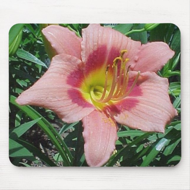 Cherry Smash Daylily Mouse Mat (Front)