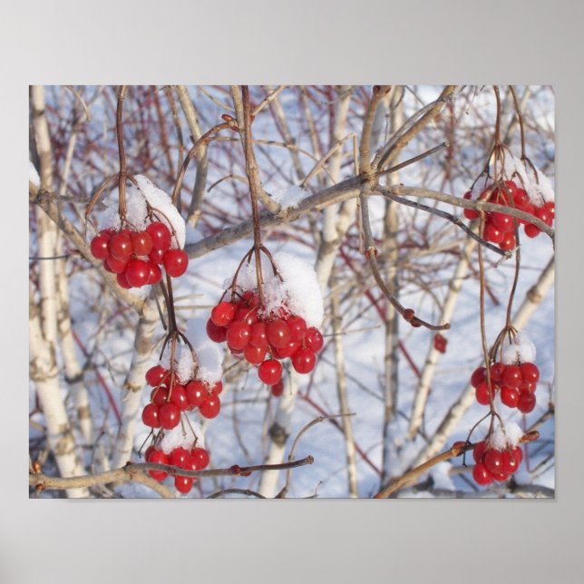 Cherry Snow Cones Poster (Front)