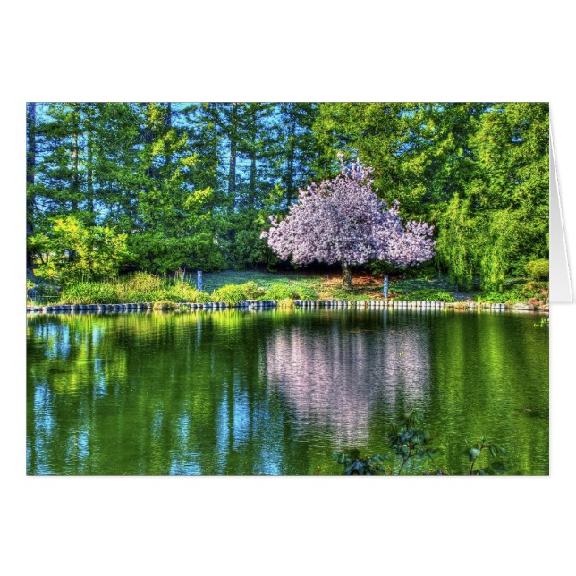 Cherry Tree (Front Horizontal)