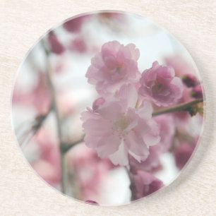 Cherry Tree Blossoms Coaster