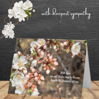 Cherry Tree Blossoms Find Ways to Bloom Sympathy