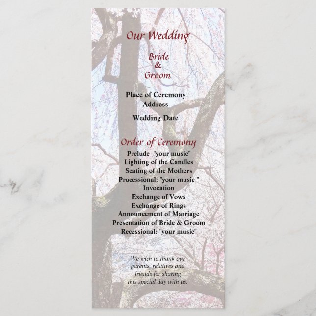 Cherry Tree Closeup Wedding Program Programme (Front)