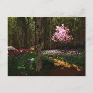 Cherry Tree Concerto Postcard