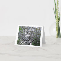 Cherry Tree Floral Flower Birthday Greetings Card