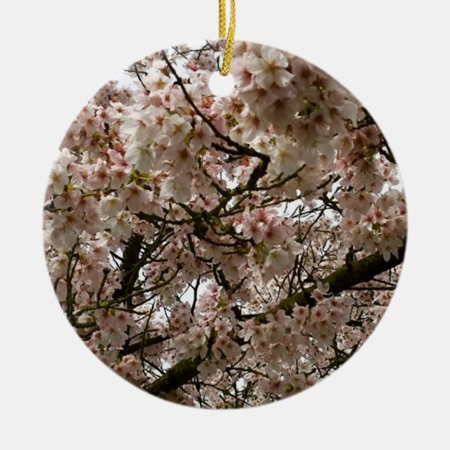 Cherry Tree in Bloom, Oregon Ceramic Tree Decoration (Front)