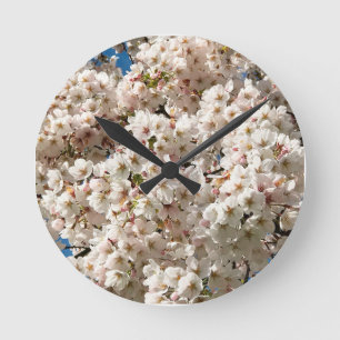 Cherry Tree in Bloom, Oregon Round Clock