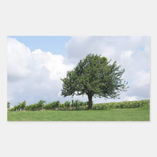 Cherry Tree In Summer Rectangular Sticker