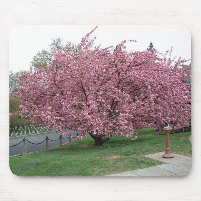Cherry Tree Mouse Mat (Front)
