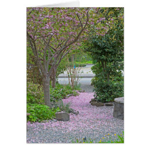 Cherry Tree Petal Path