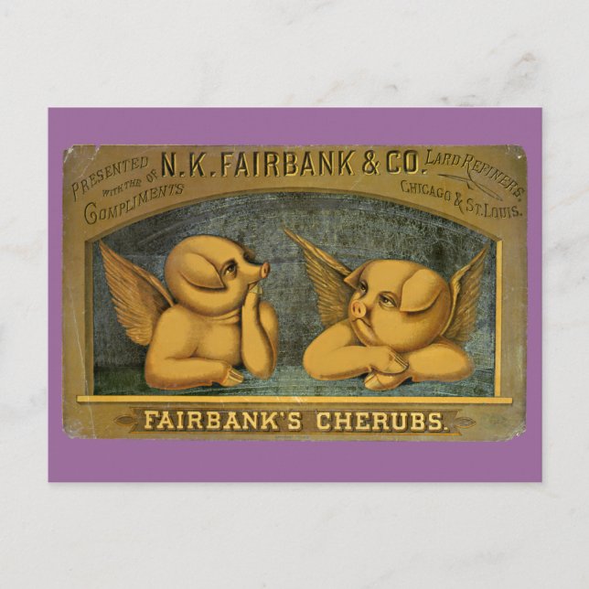 Cherub Angel Pigs Postcard (Front)
