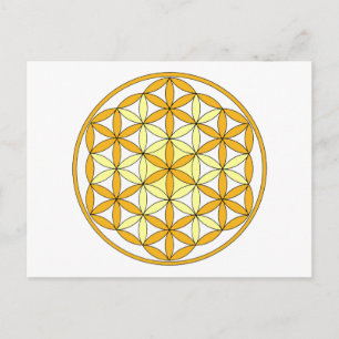 Cherubim2 Postcard