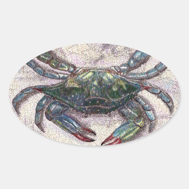 Chesapeake Bay Blue Crab Oval Sticker (Front)