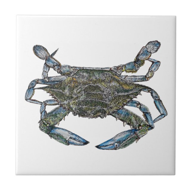 Chesapeake Bay Blue Crab Tile (Front)