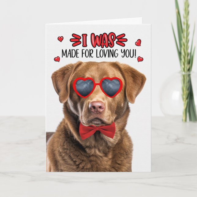 Chesapeake Bay Dog Made for Loving You Valentine Holiday Card (Front)