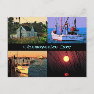 Chesapeake Bay Postcard