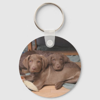 Chesapeake Bay Recover Key Ring