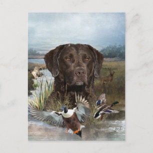 Chesapeake Bay Retriever, Art  Holiday Postcard