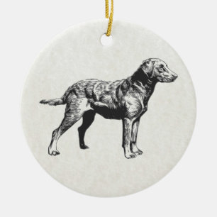 chesapeake bay retriever ceramic tree decoration