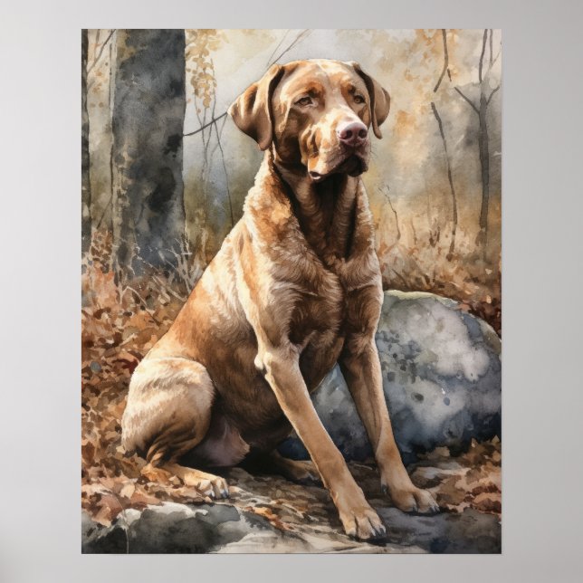 Chesapeake Bay Retriever Dog Art Print Poster (Front)