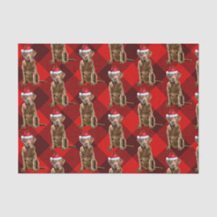 Chesapeake Bay Retriever Dog Christmas Holiday Tissue Paper
