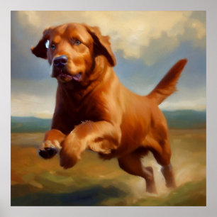 Chesapeake Bay Retriever Dog Poster