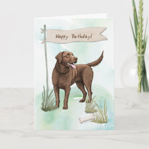 Chesapeake Bay Retriever Dog Under Birthday Sign Card