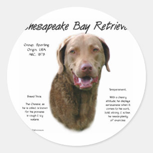 Chesapeake Bay Retriever History Design Classic Round Sticker