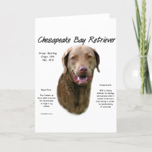 Chesapeake Bay Retriever History Design Holiday Card
