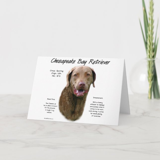 Chesapeake Bay Retriever History Design Holiday Card (Front)