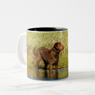 Chesapeake Bay Retriever Hunting Dog Coffee Mug