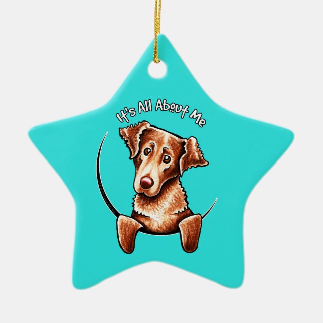 Chesapeake Bay Retriever IAAM Ceramic Tree Decoration (Front)