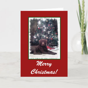 Chesapeake Bay Retriever, Merry Christmas! Holiday Card