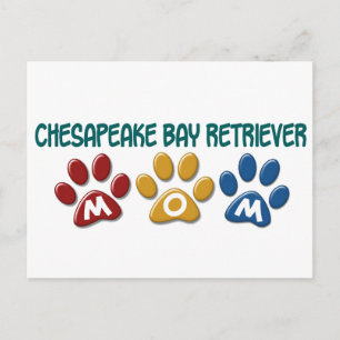 CHESAPEAKE BAY RETRIEVER Mum Paw Print 1 Postcard
