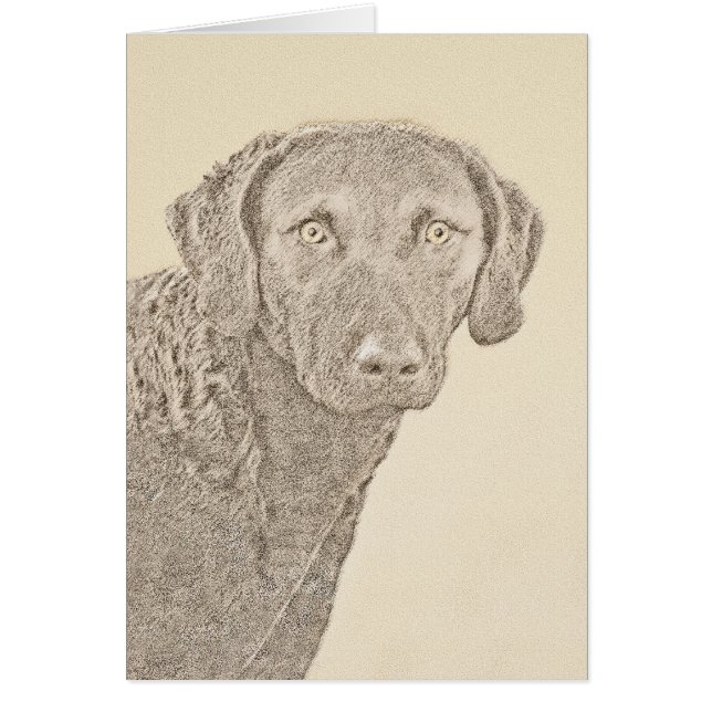 Chesapeake Bay Retriever Painting Original Dog Art (Front)
