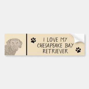 Chesapeake Bay Retriever Painting Original Dog Art Bumper Sticker