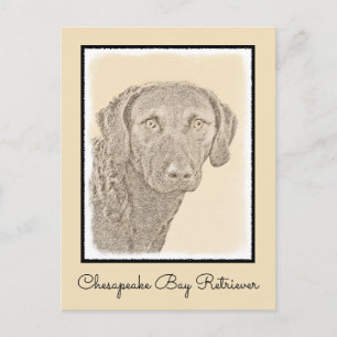 Chesapeake Bay Retriever Painting Original Dog Art Postcard