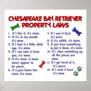 CHESAPEAKE BAY RETRIEVER PL2 POSTER